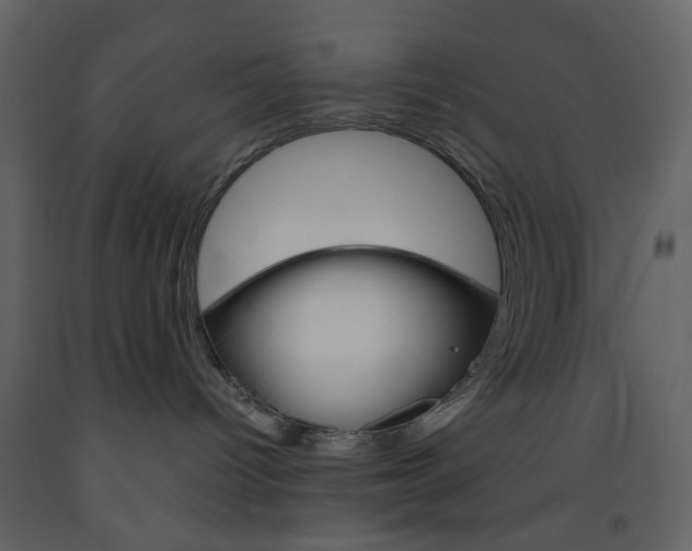 X0000094070096200710191005