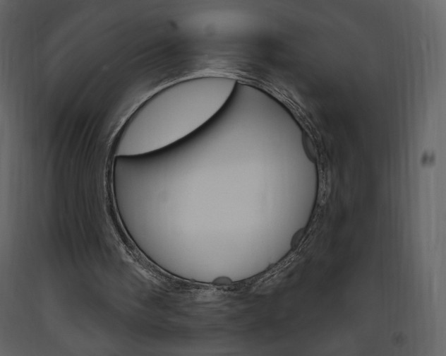 X0000094070098200710191005