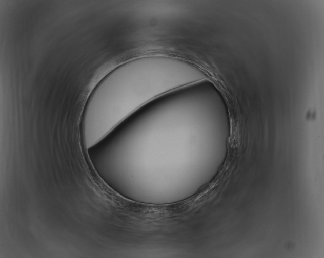 X0000094070099200710191005