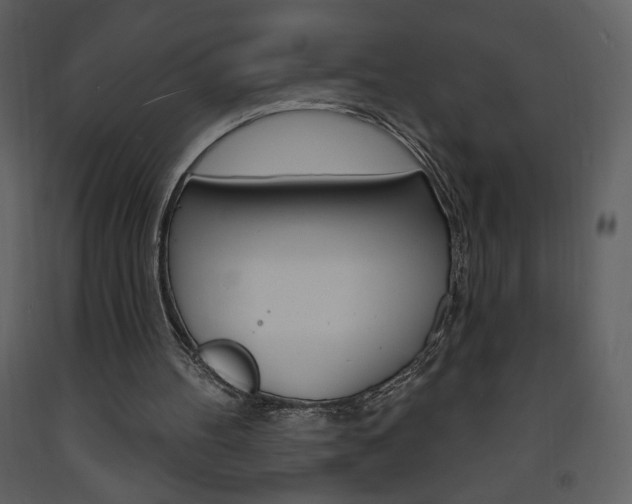 X0000094070100200710191005