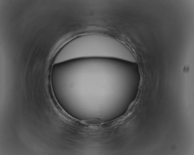 X0000094070101200710191005
