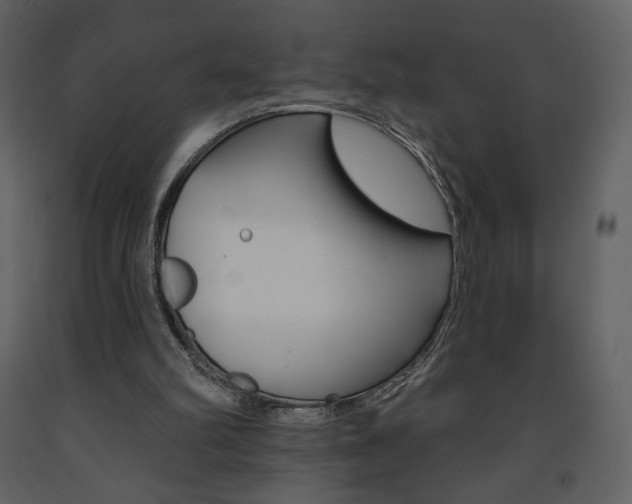 X0000094070102200710191005