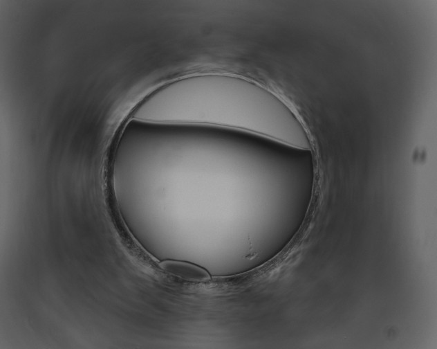 X0000094070103200710191005