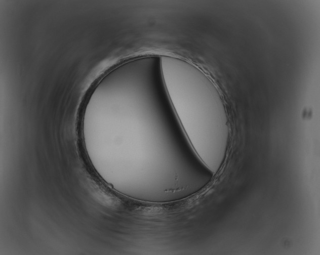 X0000094070104200710191005