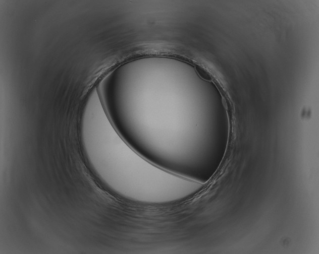 X0000094070105200710191005