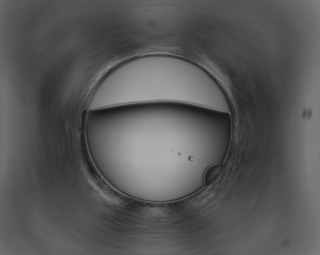 X0000094070107200710191005