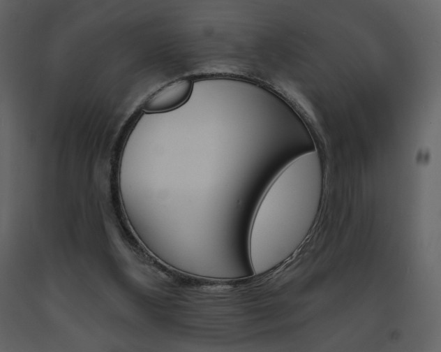 X0000094070108200710191005