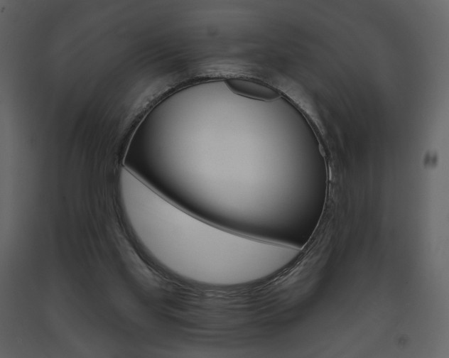 X0000094070109200710191005