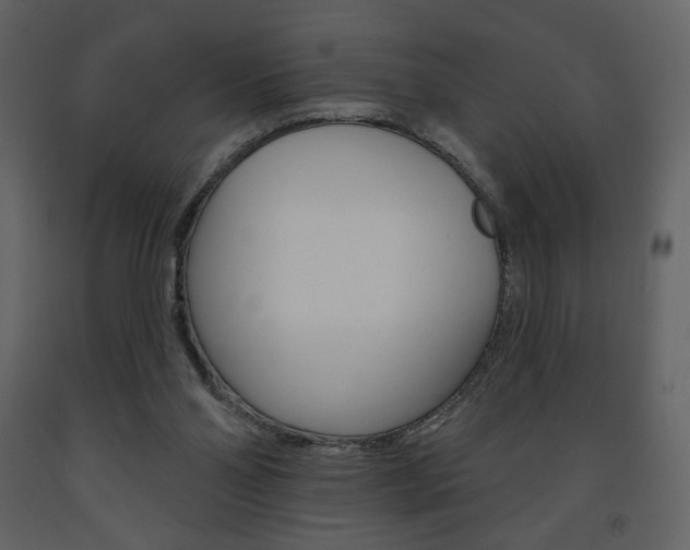 X0000094070110200710191005