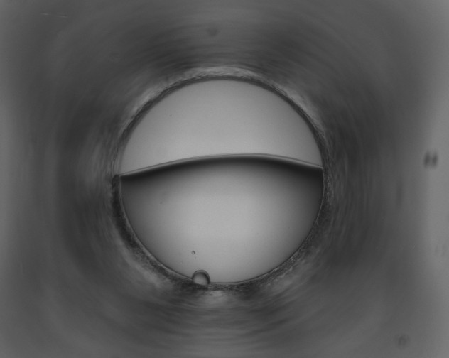 X0000094070111200710191005