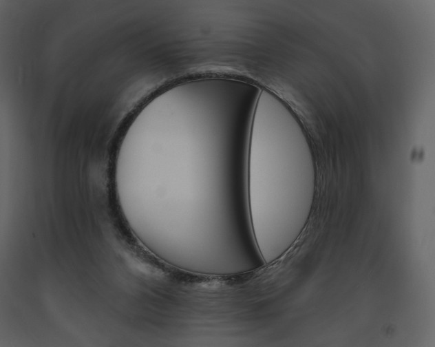 X0000094070112200710191005