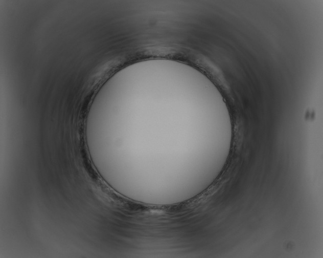 X0000094070114200710191004