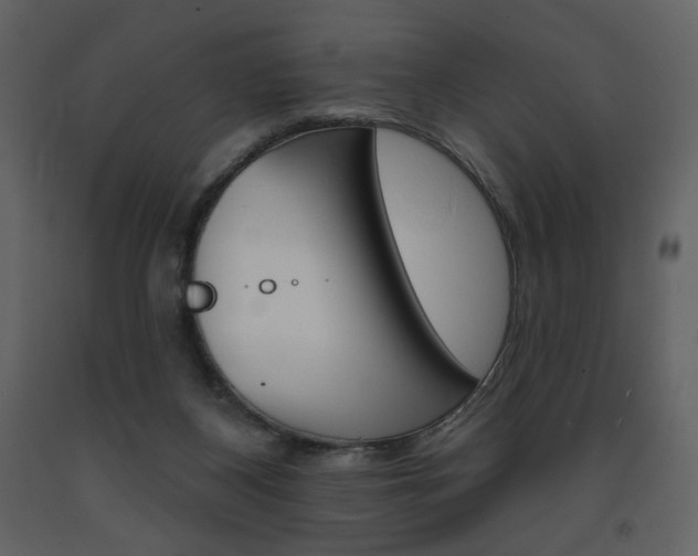 X0000094070116200710191004