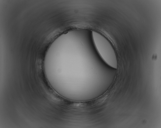 X0000094070117200710191004