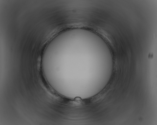 X0000094070118200710191004
