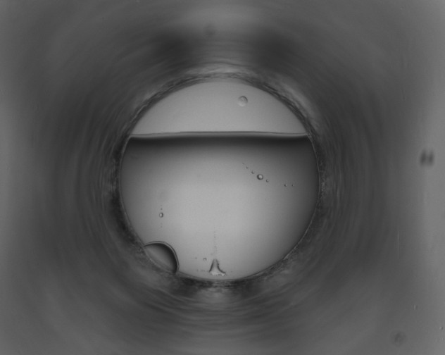 X0000094070119200710191004
