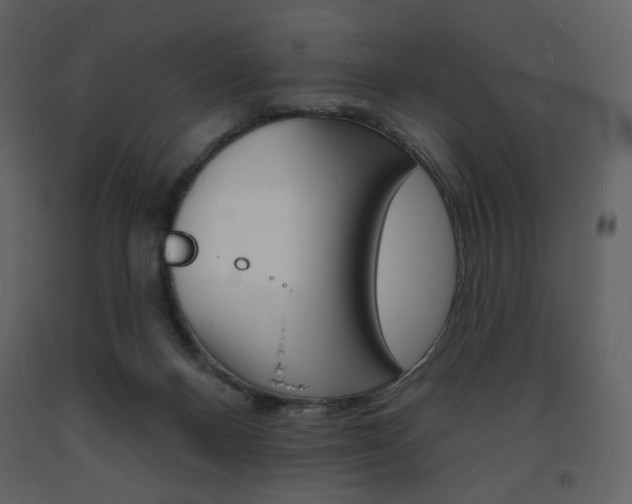 X0000094070120200710191004