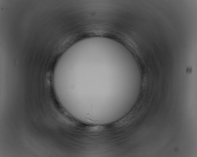 X0000094070122200710191004