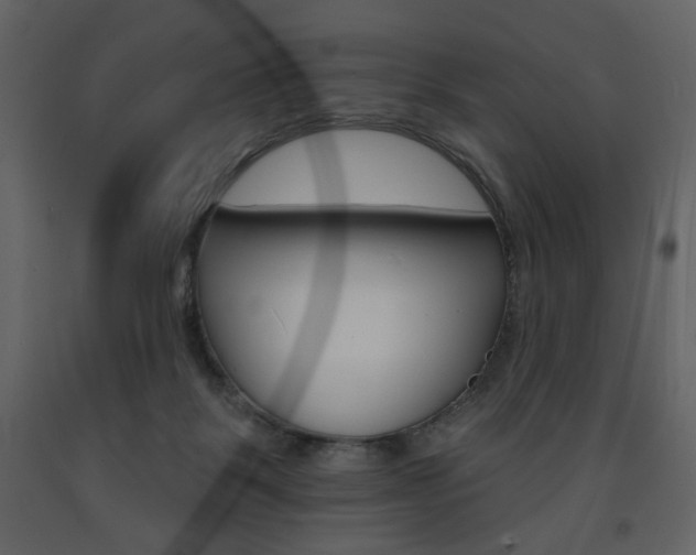 X0000094070123200710191004