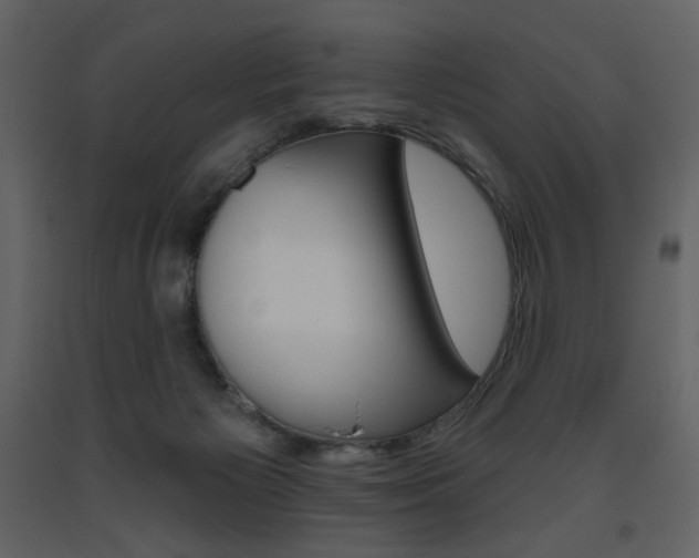 X0000094070125200710191004
