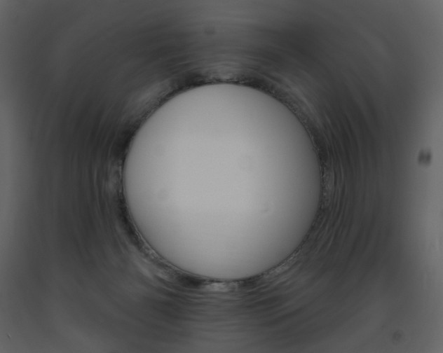 X0000094070126200710191004