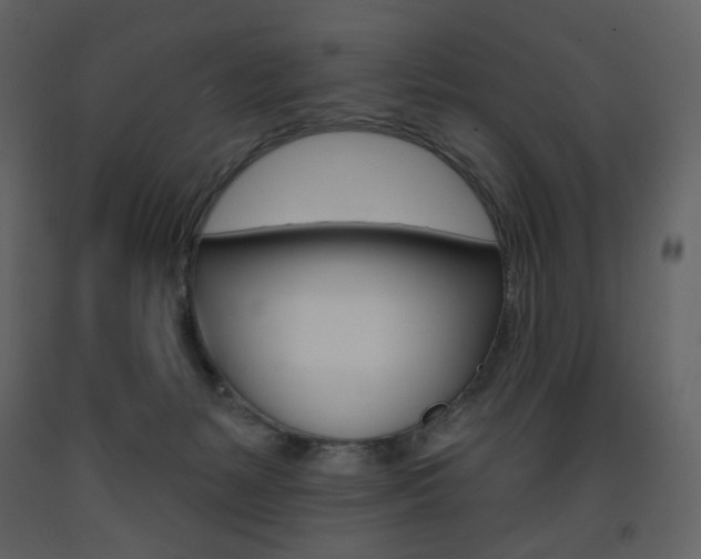 X0000094070127200710191004