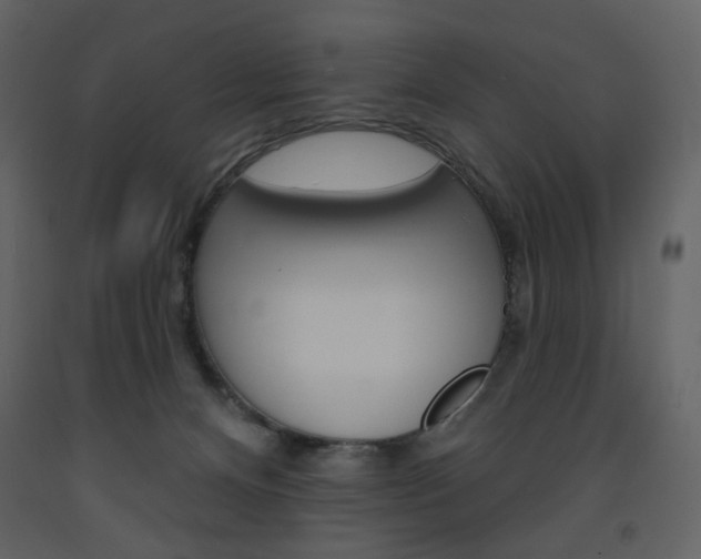 X0000094070128200710191004