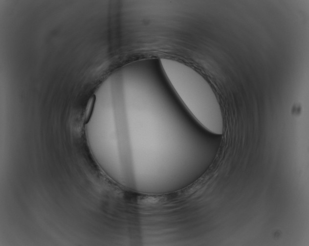 X0000094070129200710191004