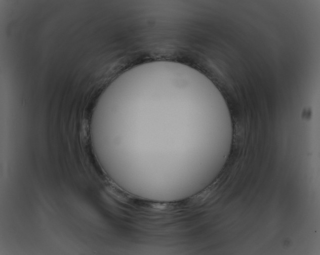 X0000094070130200710191004