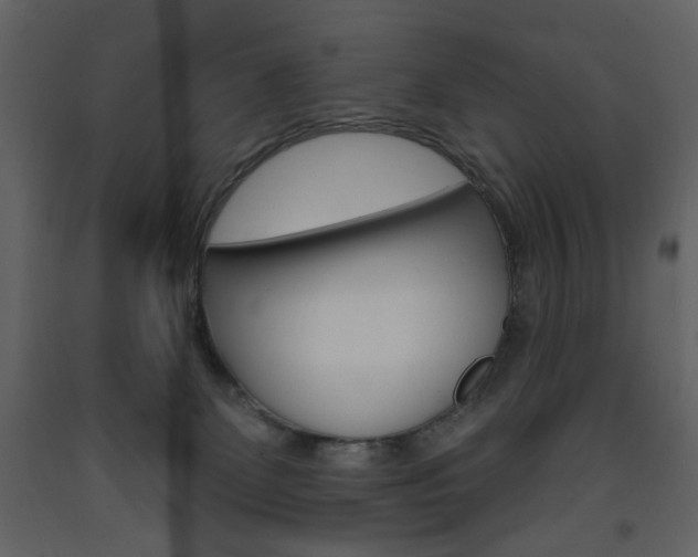 X0000094070131200710191004