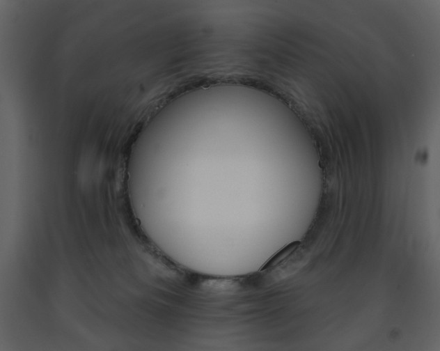 X0000094070133200710191004