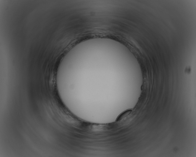 X0000094070134200710191004