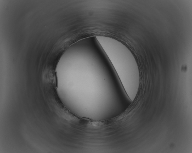 X0000094070137200710191004
