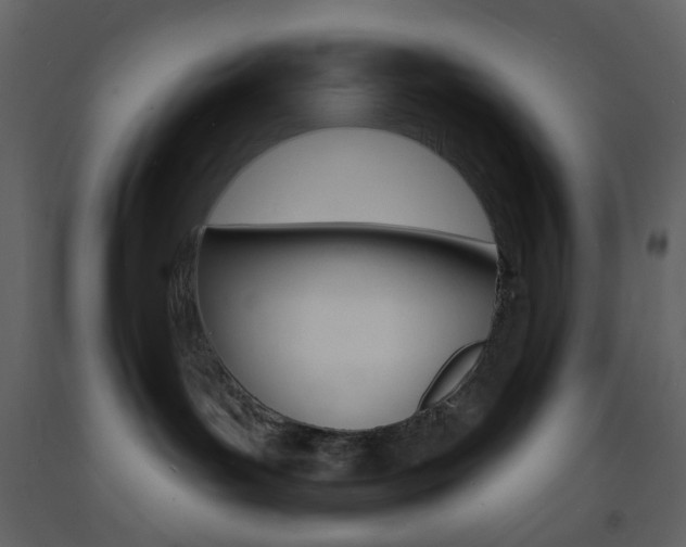 X0000094070143200710191004