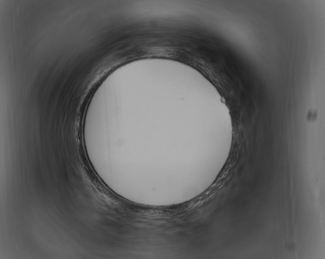 X0000094070146200710191003
