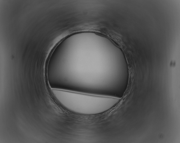 X0000094070148200710191003