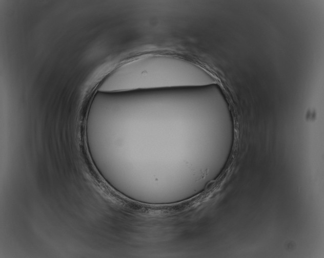 X0000094070149200710191003