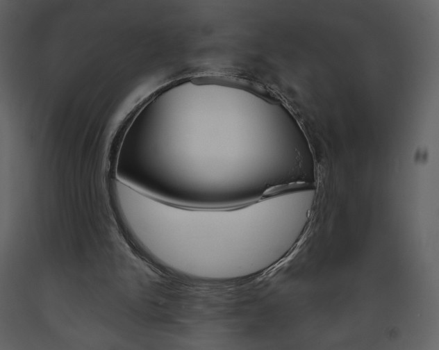 X0000094070150200710191003
