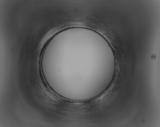 X0000094070151200710191003