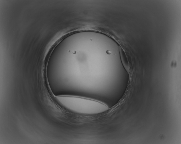 X0000094070152200710191003
