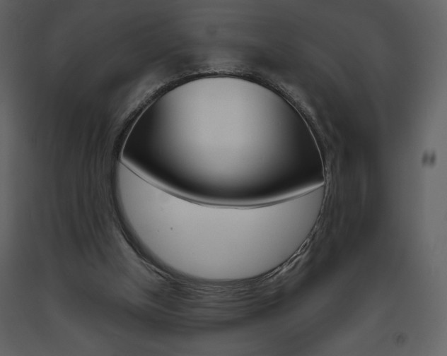 X0000094070154200710191004