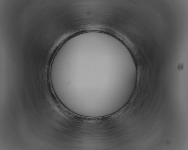 X0000094070155200710191004