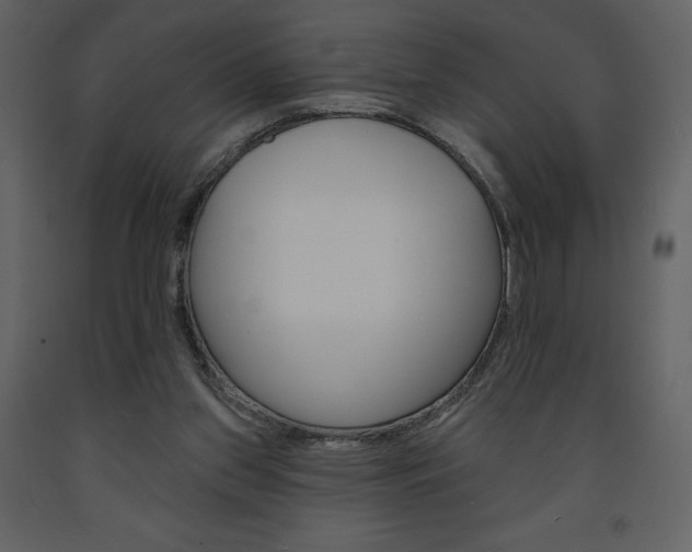 X0000094070157200710191004