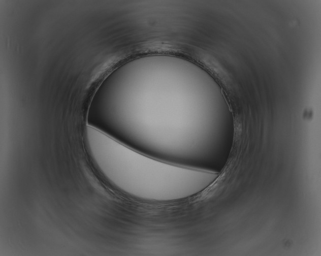X0000094070158200710191004