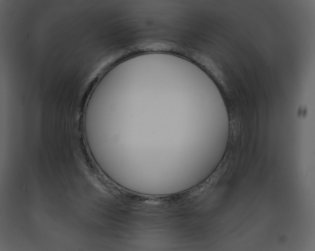 X0000094070159200710191004