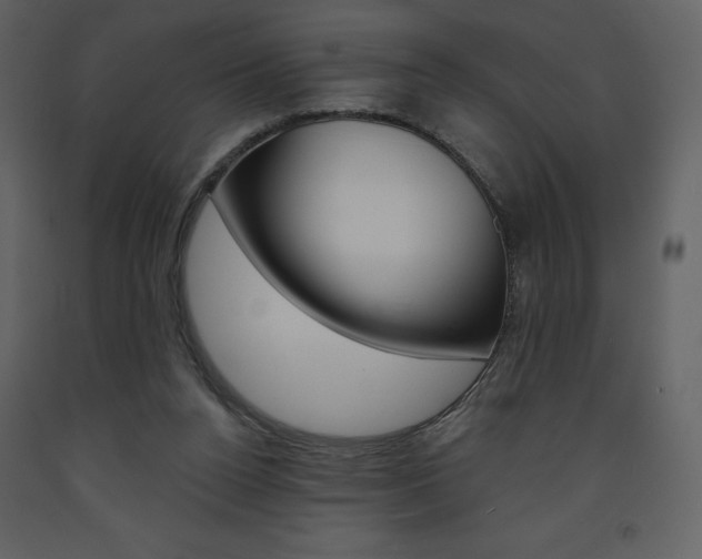 X0000094070160200710191004