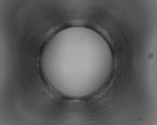 X0000094070161200710191004