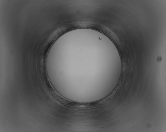 X0000094070163200710191004