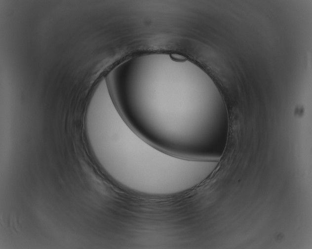 X0000094070164200710191004
