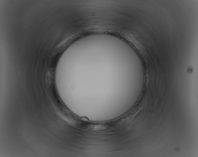 X0000094070165200710191004